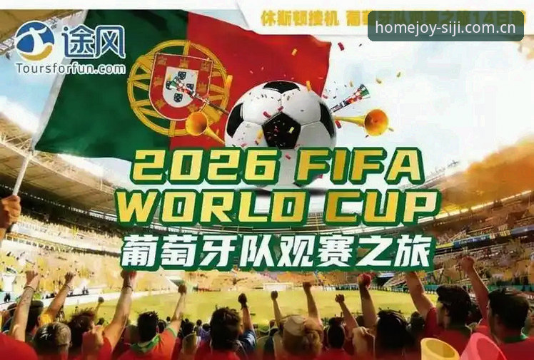 资深用户分享：世界杯观赛受阻背后的签证困局与家庭娱乐新思路